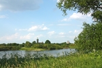 Elbe mit Blick auf die Schlosskirche